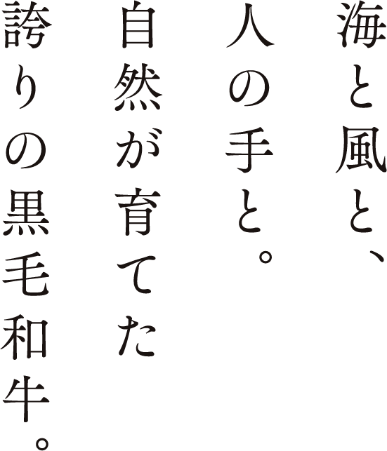 海と風と、人の手と。自然が育てた誇りの黒毛和牛。