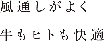 風通しがよく牛もヒトも快適