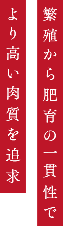 ５０年の歴史が導く真の快適な肥育環境